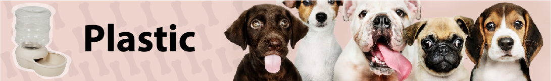 dog banner image